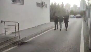 39 ilde feto operasyonu 103 supheli yakalandi nPGp7qKK