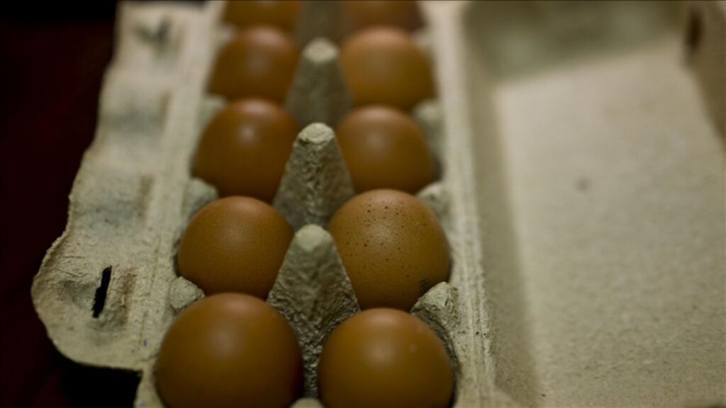 abdde kus gribi krizi var yumurtalari turkiyeden talep ediyor cxEt1BOp