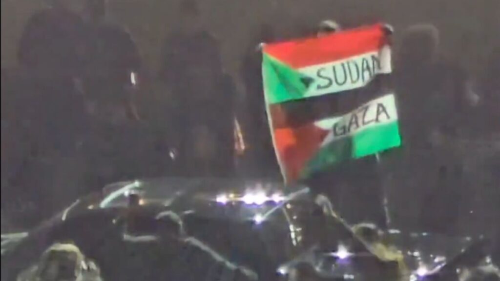 abdde super bowl finalinde filistin bayragi acan protestocu gozaltina alindi tJemQvvC