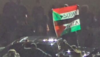 abdde super bowl finalinde filistin bayragi acan protestocu gozaltina alindi tJemQvvC