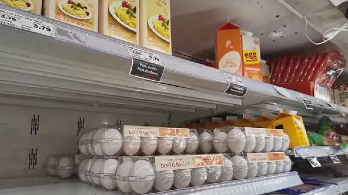 abdde yasanan kus gribi krizi yumurta fiyatlarini vurdu 0 uNZNOgFm