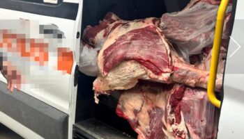 ankarada personel servisinde et tasinan zincir markete 13 milyon lira ceza SwPQpcec