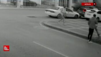 antalyada cins kedisi kaybolan kadin kamera kayitlarini izleyince soke oldu 4L4DxsEC