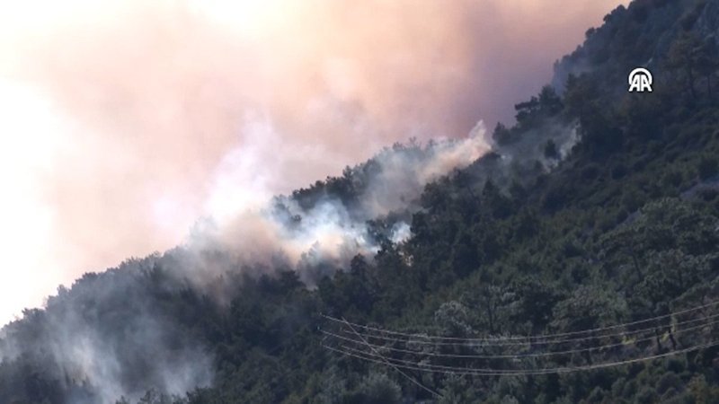 antalyada ormanlik alanda cikan yangina mudahale ediliyor
