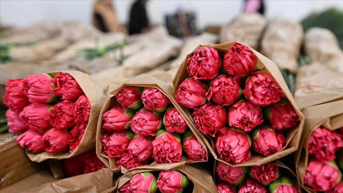 antalyadan ihracata 75 milyon dal cicek gonderildi 0 VqhqPITD