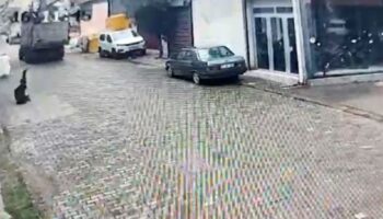 aydinda kamyonetin elektrik telini kopartmasi sonucu akima kapildi NvcaKaca