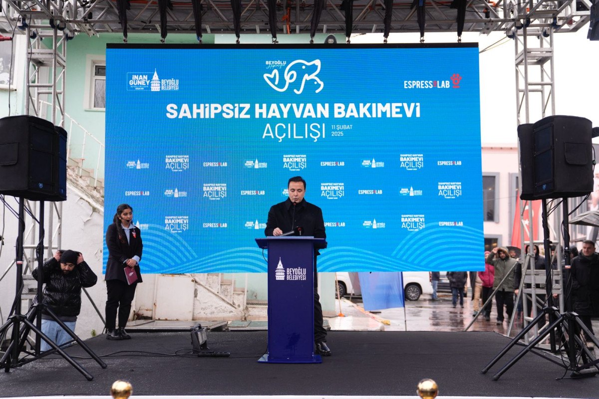 beyoglunda espressolab sahipsiz hayvan bakimevi hizmete acildi 0 OYk2Yv3K