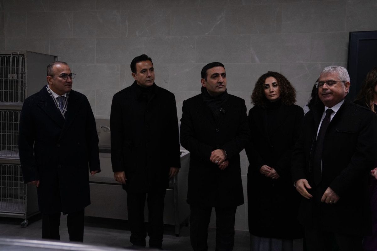 beyoglunda espressolab sahipsiz hayvan bakimevi hizmete acildi 2 KIz1VcCK