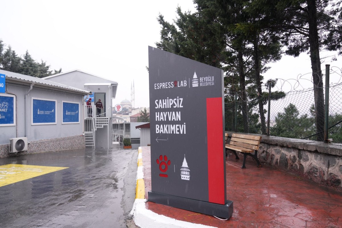beyoglunda espressolab sahipsiz hayvan bakimevi hizmete acildi 4 yHiIm6wJ