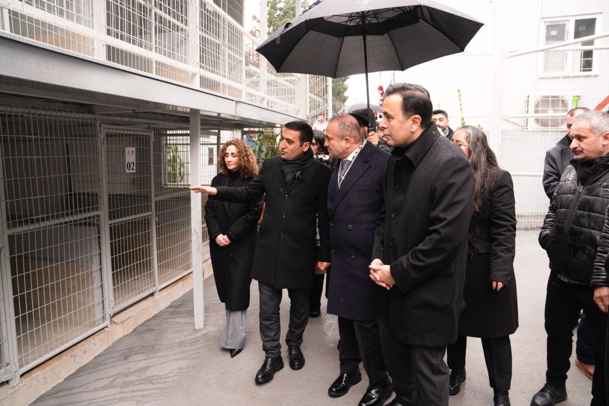 beyoglunda espressolab sahipsiz hayvan bakimevi hizmete acildi 7