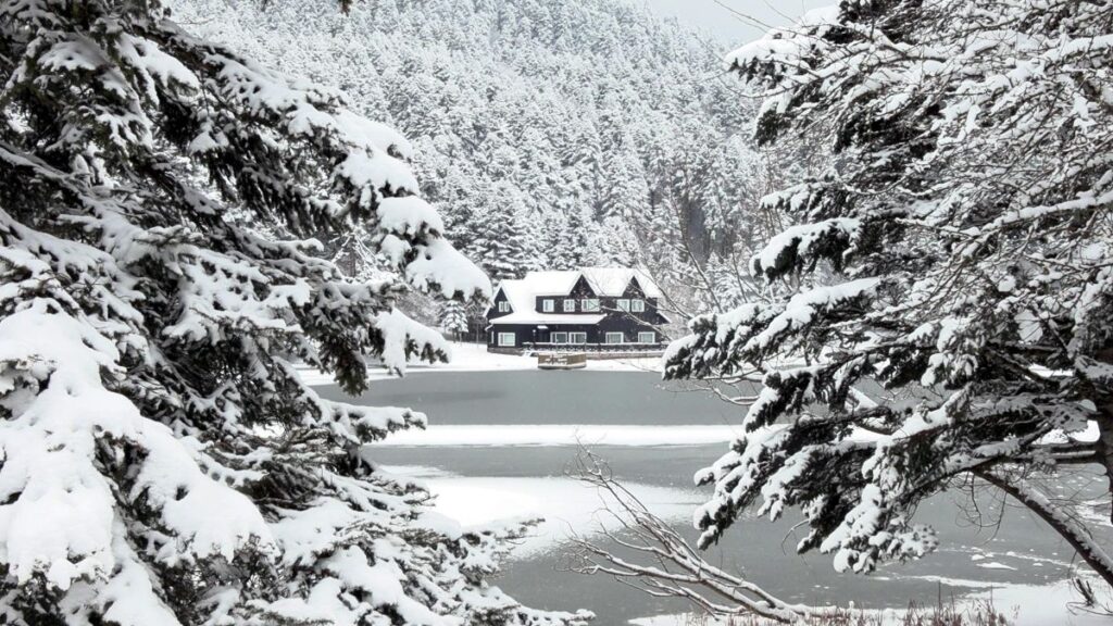 bolu golcuk tabiat parkinda kar manzarasi 6ZdUMXNm
