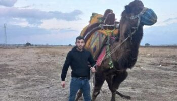 canakkalede deve satisinda kan akti 1 olu ppSDpgiw