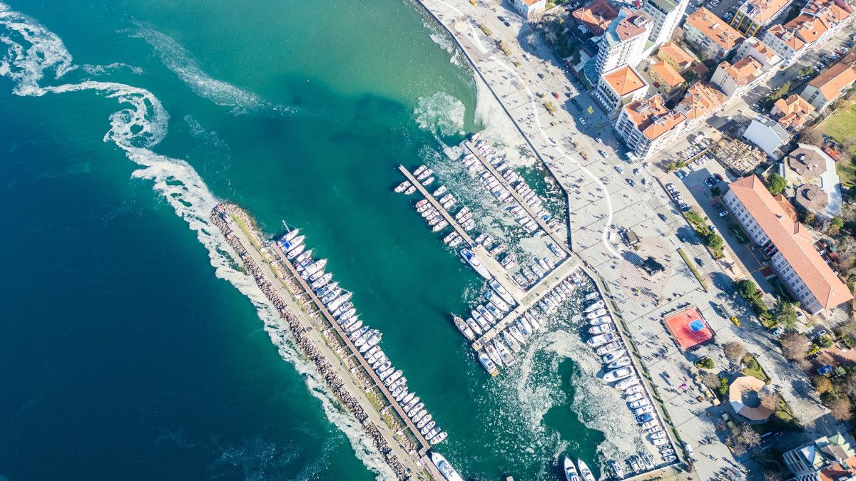 canakkalede musilaj balikcilari zorluyor 0