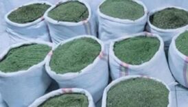 cezaevinden izinli cikan hukumlu takibe alindi 391 kilo esrar ele gecirildi 4tZGDaig