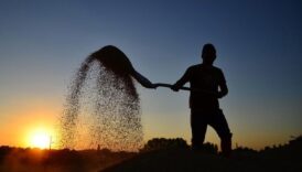 ciftcilere 22 milyar lira tarimsal destek odenecek fCyEk155