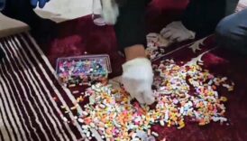 corumda polisten 8 adrese es zamanli operasyon vazolardan uyusturucu cikti GcZ42kFC