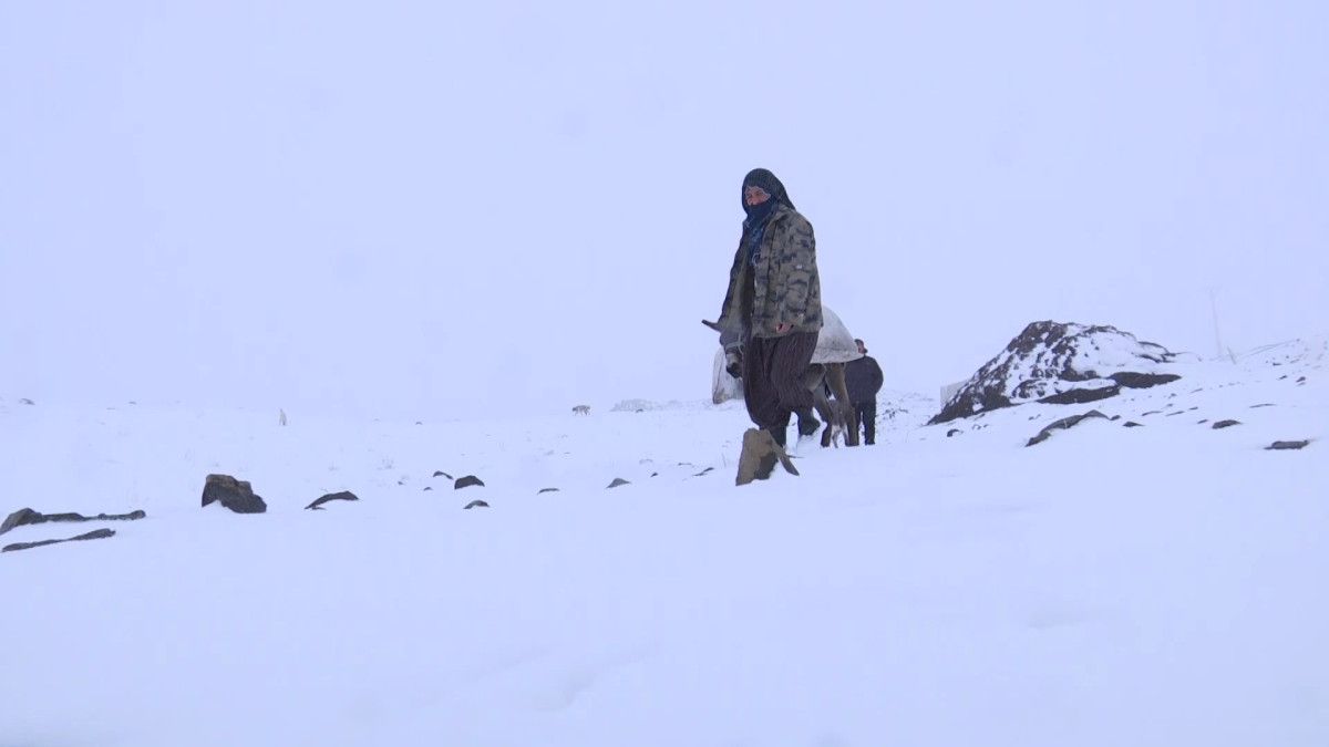 Elazığ'da göçerlerin zorlu kış şartlarında yaşamı 1 elazigda gocerlerin zorlu kis sartlarinda yasami 0 bcOUIzPd