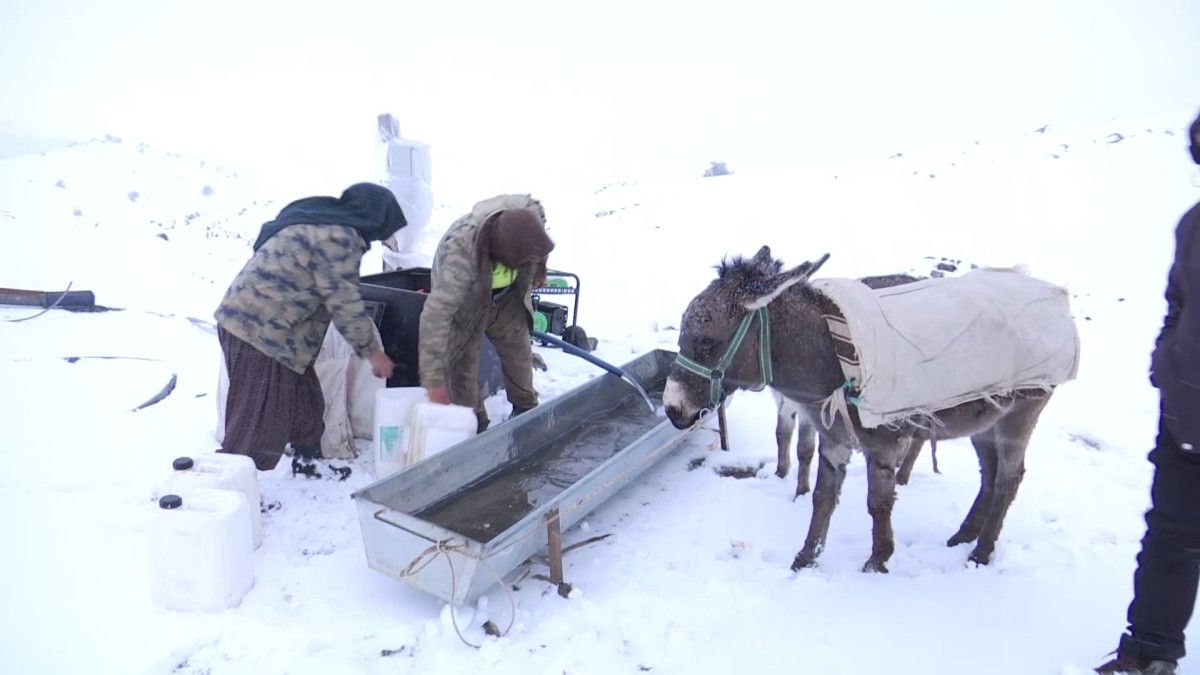 Elazığ'da göçerlerin zorlu kış şartlarında yaşamı 6 elazigda gocerlerin zorlu kis sartlarinda yasami 5 hjuUmGaS