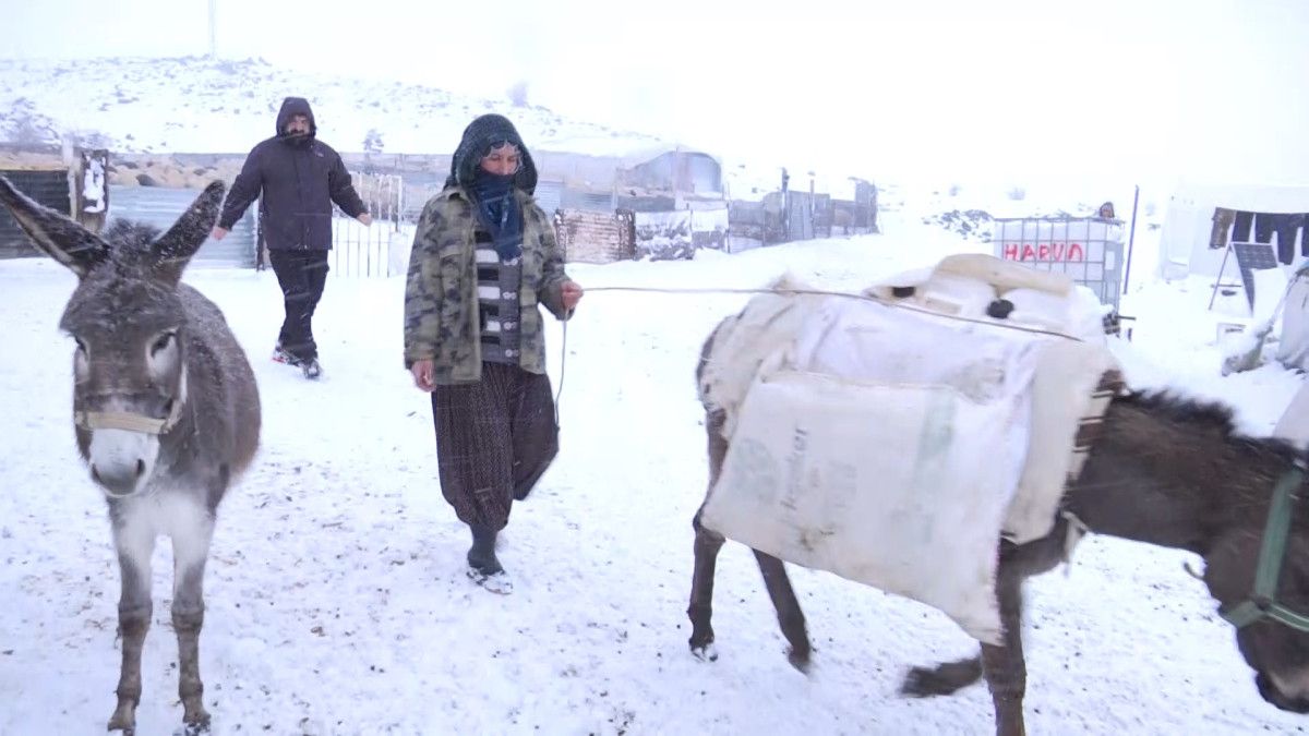 Elazığ'da göçerlerin zorlu kış şartlarında yaşamı 7 elazigda gocerlerin zorlu kis sartlarinda yasami 6 3DvqaS8Z