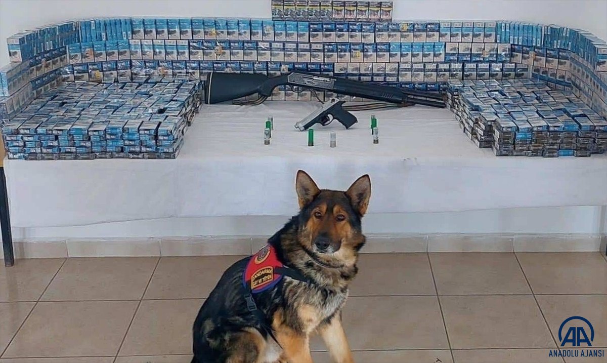 erzurumda dedektor kopek zahirin destegiyle kacak urunler yakalandi 0 LDNIU9na