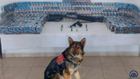 erzurumda dedektor kopek zahirin destegiyle kacak urunler yakalandi V3ikwJqa