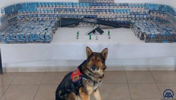 erzurumda dedektor kopek zahirin destegiyle kacak urunler yakalandi V3ikwJqa