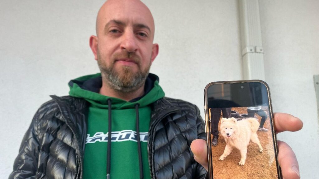 eskisehirde kayip kopegini ararken dolandiricilarin hedefi oldu LOQvkdvt