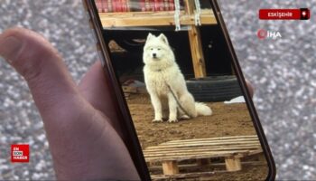 eskisehirde kayip kopegini ararken dolandiricilarin hedefi oldu cihbeOt1