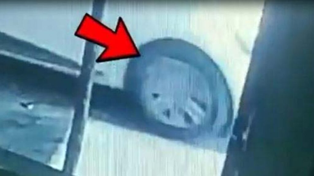 gaziantepte ikiz plaka kullanan cinayet suphelileri yakalandi kM9tIJm5