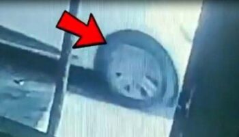 gaziantepte ikiz plaka kullanan cinayet suphelileri yakalandi kM9tIJm5