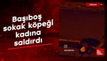 giresunda basibos sokak kopegi bir kadina saldirdi 9WKV5KiV