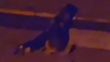 giresunda basibos sokak kopegi bir kadina saldirdi cXg8XTvw