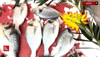 hamsi sevenlere kotu haber tezgahlar hamsisiz kaldi DsLMlq3X