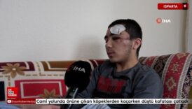 ispartada onune cikan kopeklerden kacarken dustu kafatasi catladi uzMyxtJw