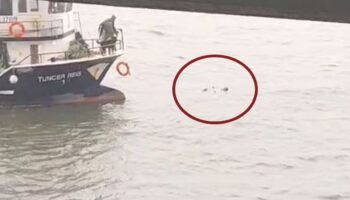 istanbul fatihte denize dusen kadini balikcilar kurtardi 26rgLLF2