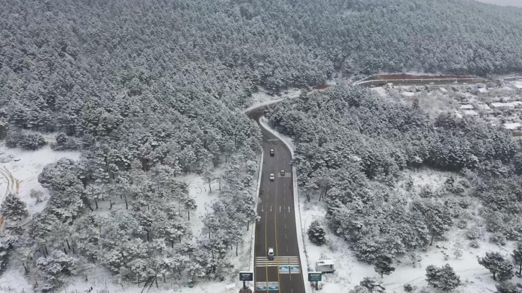 istanbulda aydos ormani beyaza burundu hXzyxkvI
