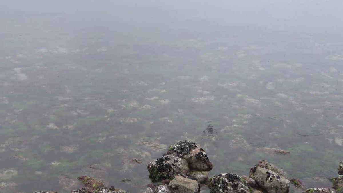 istanbulda havalar sogudu musilaj yok oldu 2 g3cqu8Ph