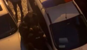 istanbulda pitbull cinsi kopek polise saldirdi pH2HLHMU