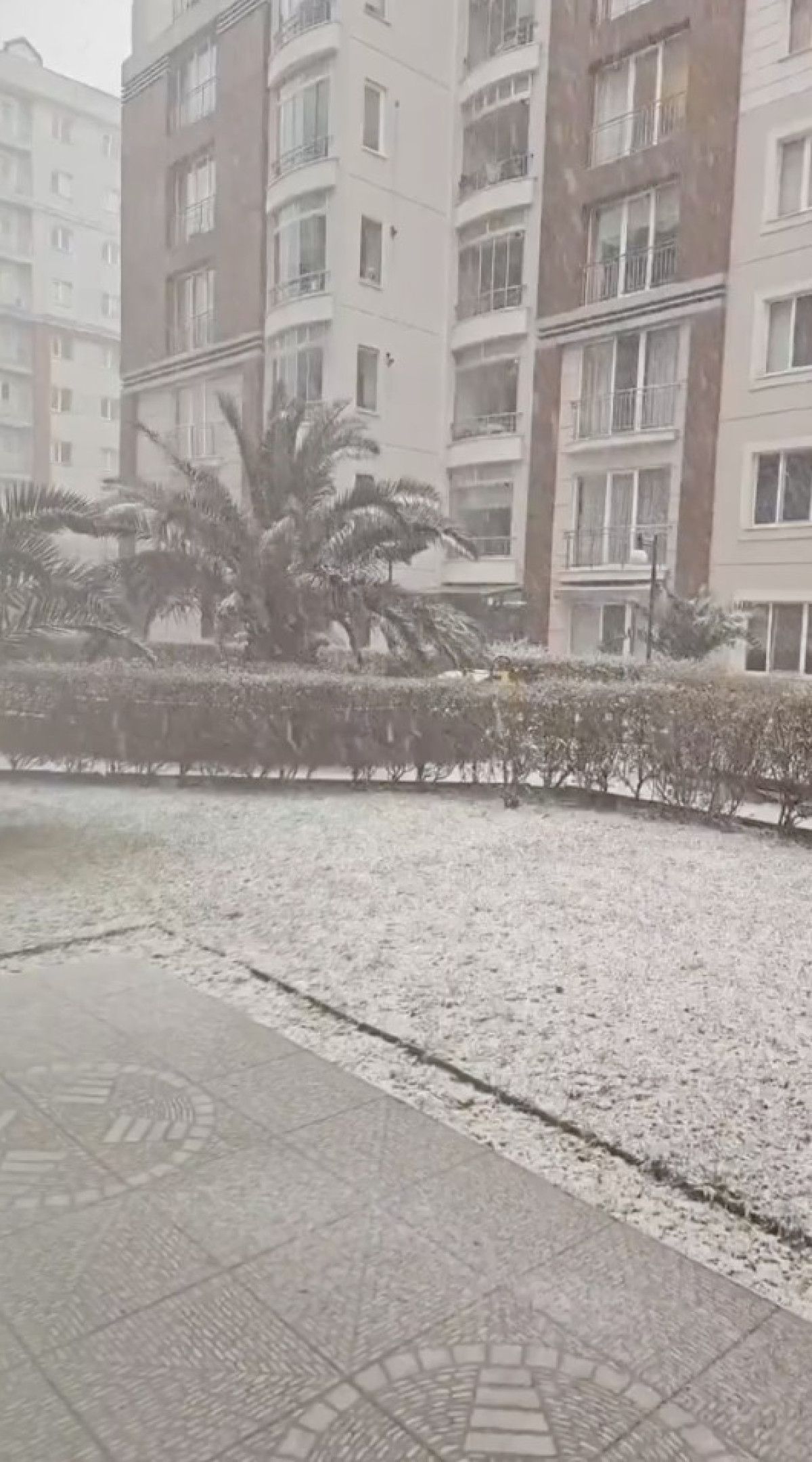 istanbulun yuksek kesimlerinde kar yagisi etkili oldu 2 dvWMEKjz