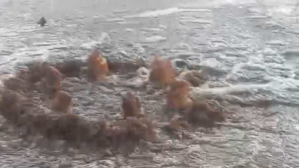 izmir buyuksehir belediyesine 1 milyon liralik atik su cezasi 39drs2fN