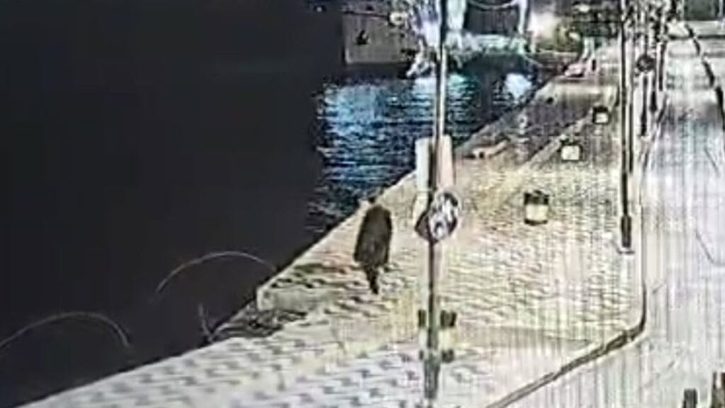 izmirde alkollu sahis denize dusup boguldu b4Z5S5CM