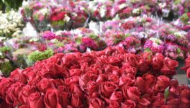 İzmir'de çiçek mezadında Sevgililer Günü bereketi 2 izmirde cicek mezadinda sevgililer gunu bereketi fUcgNyyr