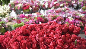 izmirde cicek mezadinda sevgililer gunu bereketi fUcgNyyr