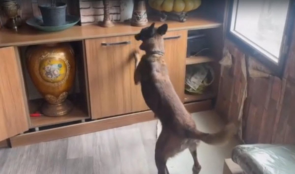 izmirde fuhus operasyonu 7 tutuklama 2 ZvvP7HdU