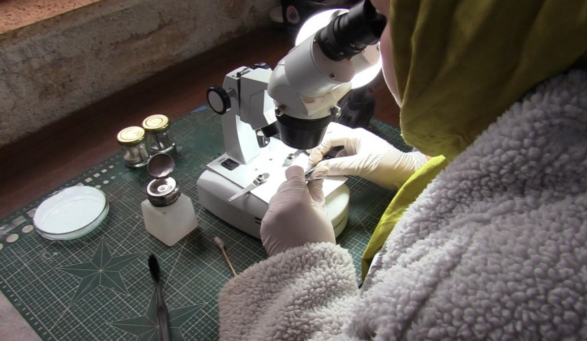 karabukteki antik kentte yapilan kazilarda bronz filtre bulundu 3 1OS2mWDh