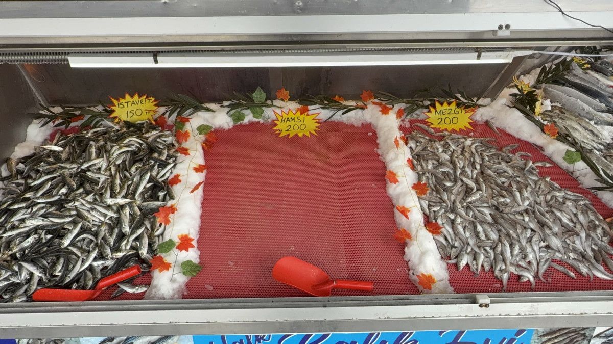 karadenizde tezgahlar hamsisiz kaldi 0 XVzNlH8N