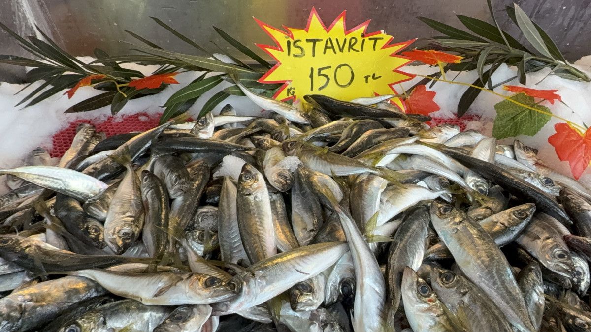 karadenizde tezgahlar hamsisiz kaldi 1 T1fg1hTq