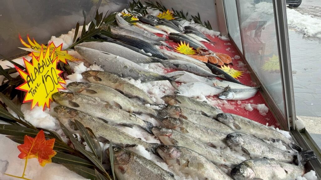 karadenizde tezgahlar hamsisiz kaldi sUAXG88H