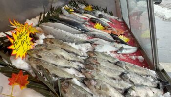 karadenizde tezgahlar hamsisiz kaldi sUAXG88H