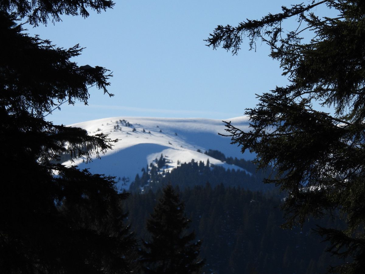 karla kapli karadenizin zirvelerinde seyirlik manzara 2 bG9LBFGM